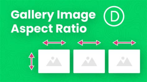 How To Change The Divi Gallery Aspect Ratio .